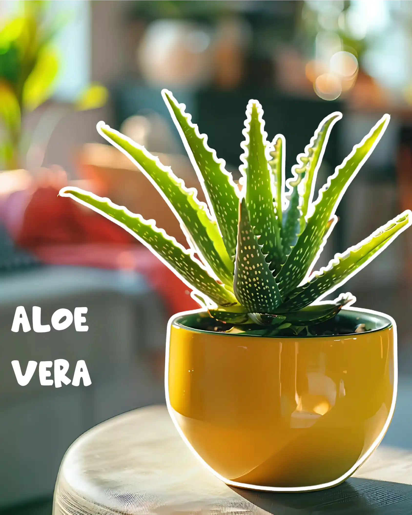 Plant pot 3 of 7