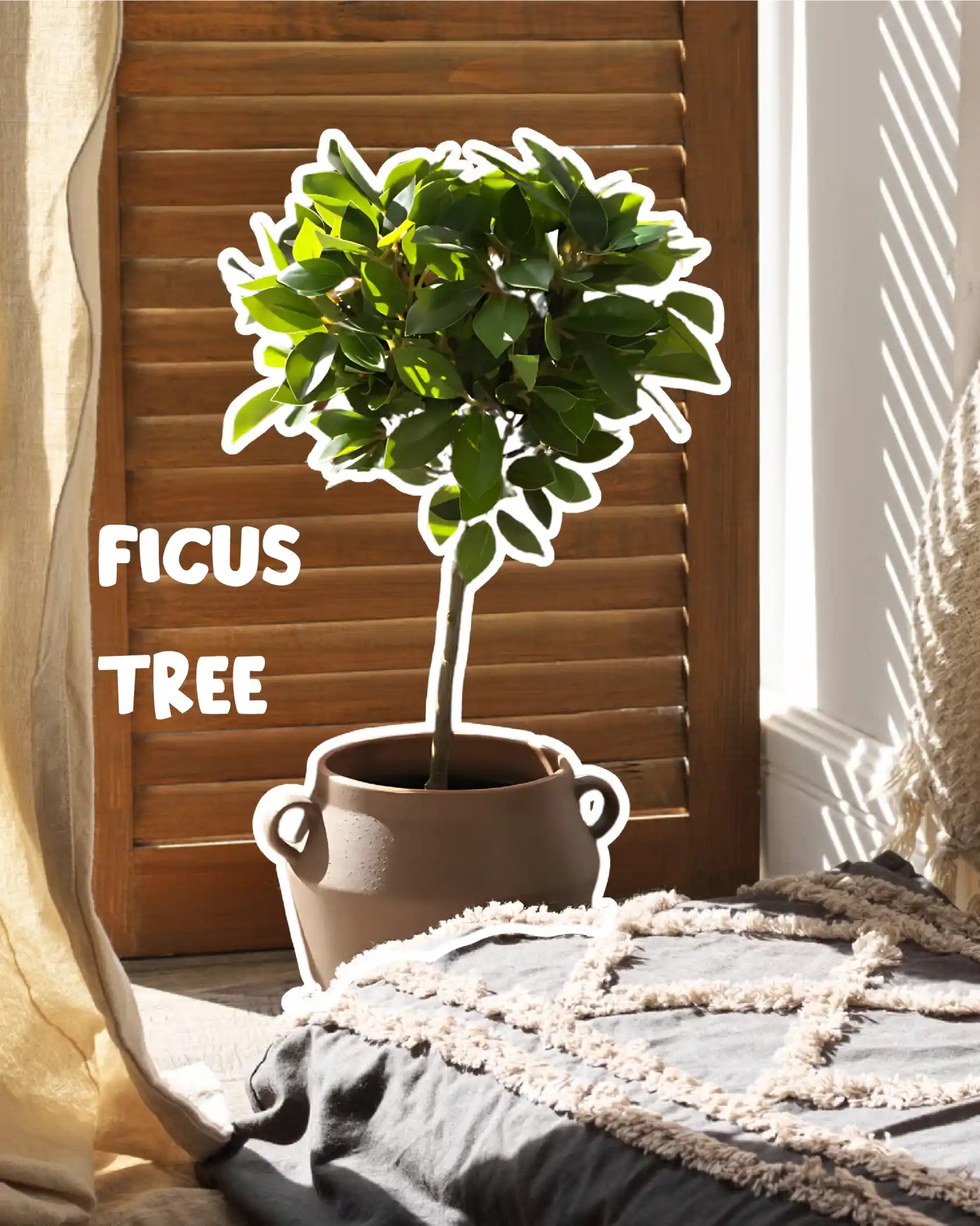 Plant pot 5 of 7