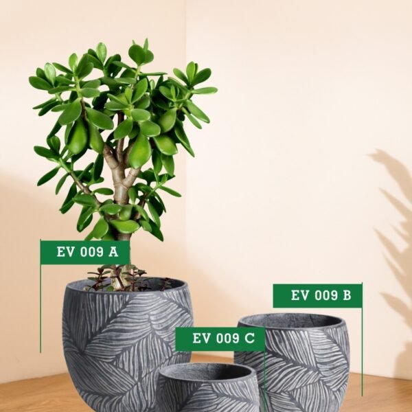 EV 009