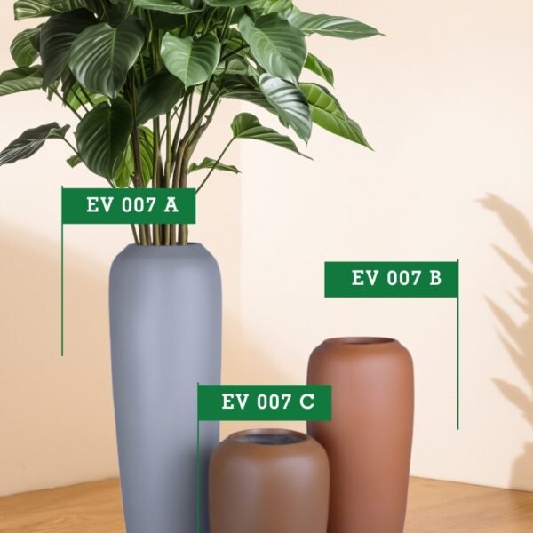 EV 007